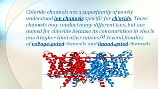 Chloride channels are a superfamily of poorly
understood ion channels specific for chloride. These
channels may conduct many different ions, but are
named for chloride because its concentration in vivo is
much higher than other anions.[1] Several families
of voltage-gated channels and ligand-gated channels
By : Mahi
 