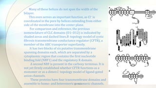 Many of these helices do not span the width of the
bilayer.
This even serves an important function, as Cl− is
coordinated in the pore by helices extending from either
side of the membrane into the center plane.
For comparison and reference, the previous
nomenclature of CLC domains (D1–D12) is indicated by
shaded areas and dashed lines.B: topology model of cystic
fibrosis transmembrane conductance regulator (CFTR), a
member of the ABC transporter superfamily.
It has two blocks of six putative transmembrane
spanning domains each, which are separated by a
cytoplasmic region that contains the first nucleotide
binding fold (NBF1) and the regulatory R domain.
A second NBF is present in the carboxy terminus. It is
not yet firmly established whether CFTR functions as a
monomer or as a dimer.C: topology model of ligand-gated
anion channels.
These proteins have four transmembrane domains and
assemble to homo- and heteromeric pentameric channels.By : Mahi
 