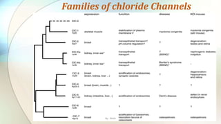 Families of chloride Channels
By : Mahi
 