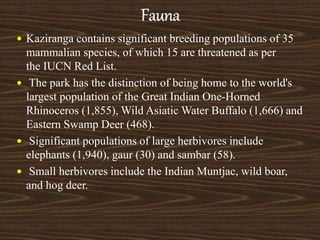  Kaziranga contains significant breeding populations of 35
mammalian species, of which 15 are threatened as per
the IUCN Red List.
 The park has the distinction of being home to the world's
largest population of the Great Indian One-Horned
Rhinoceros (1,855), Wild Asiatic Water Buffalo (1,666) and
Eastern Swamp Deer (468).
 Significant populations of large herbivores include
elephants (1,940), gaur (30) and sambar (58).
 Small herbivores include the Indian Muntjac, wild boar,
and hog deer.
 