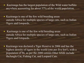  Kaziranga has the largest population of the Wild water buffalo
anywhere accounting for about 57% of the world population.
 Kaziranga is one of the few wild breeding areas
outside Africa for multiple species of large cats, such as Indian
Tigers and Leopards.
 Kaziranga is one of the few wild breeding areas
outside Africa for multiple species of large cats, such as Indian
Tigers and Leopards.
 Kaziranga was declared a Tiger Reserve in 2006 and has the
highest density of tigers in the world (one per five km²), with a
population of 86, as per the 2000 census.Other felids include
theJungle Cat, Fishing Cat, and Leopard Cats.
 