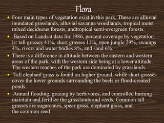  Four main types of vegetation exist in this park. These are alluvial
inundated grasslands, alluvial savanna woodlands, tropical moist
mixed deciduous forests, andtropical semi-evergreen forests.
 Based on Landsat data for 1986, percent coverage by vegetation
is: tall grasses 41%, short grasses 11%, open jungle 29%, swamps
4%, rivers and water bodies 8%, and sand 6%.
 There is a difference in altitude between the eastern and western
areas of the park, with the western side being at a lower altitude.
The western reaches of the park are dominated by grasslands.
 Tall elephant grass is found on higher ground, while short grasses
cover the lower grounds surrounding the beels or flood-created
ponds.
 Annual flooding, grazing by herbivores, and controlled burning
maintain and fertilize the grasslands and reeds. Common tall
grasses are sugarcanes, spear grass, elephant grass, and
the common reed
 