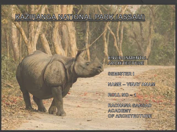 picture Kajiranga Gate Kaziranga National Park kaziranga national park ppt vinay anam