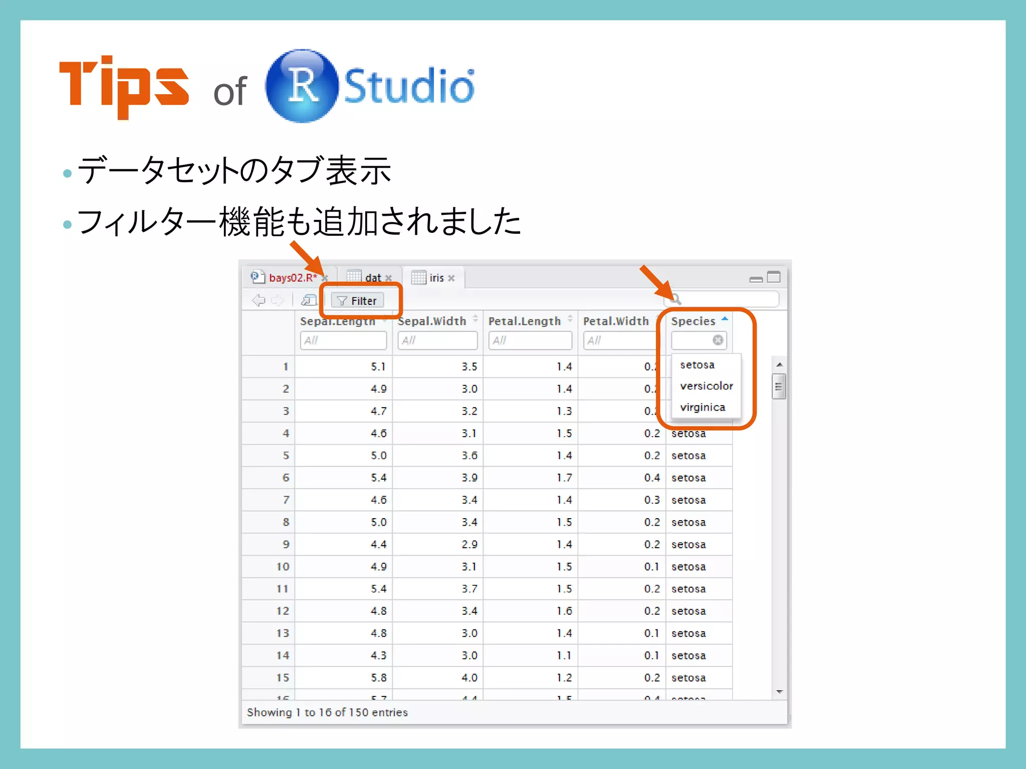 Tips of
•データセットのタブ表示
•フィルター機能も追加されました
 