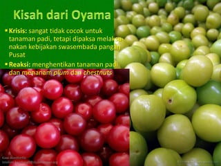  Krisis: sangat tidak cocok untuk
   tanaman padi, tetapi dipaksa melaksa-
   nakan kebijakan swasembada pangan
   Pusat
  Reaksi: menghentikan tanaman padi
   dan menanam plum dan chestnuts




Kawi Boedisetio
telebiro.bandung0@clubmember.org
 