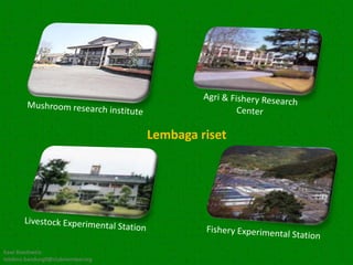 Lembaga riset




Kawi Boedisetio
telebiro.bandung0@clubmember.org
 