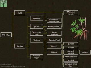Kb pohon industri-11 | PPT