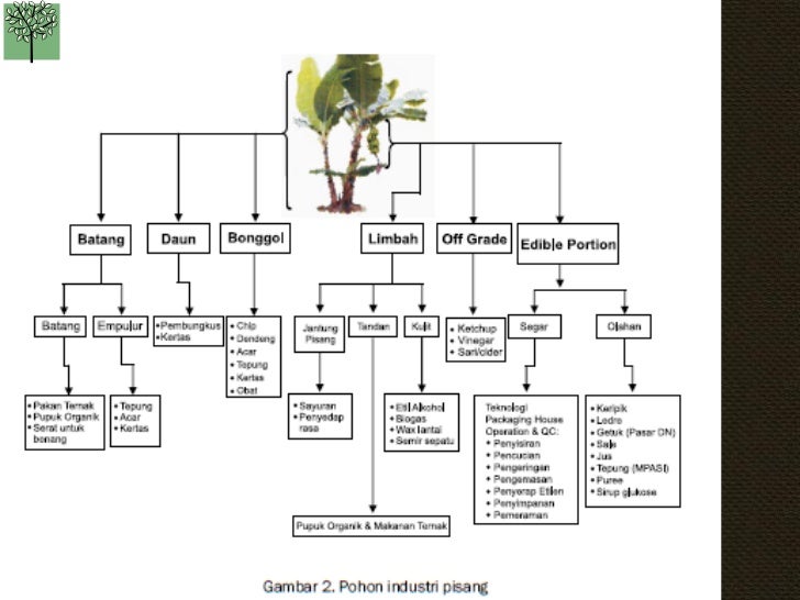 Kb pohon industri-11