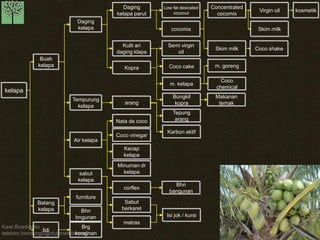 Kawi Boedisetio 
telebiro.bandung0@clubmember.org 
kelapa 
Nata de coco 
Coco vinegar 
Kecap 
kelapa 
Minuman dr 
kelapa 
Daging 
kelapa parut 
Kulit ari 
daging klapa 
Kopra 
arang 
corflex 
Sabut 
berkaret 
matras 
Air kelapa 
Daging 
kelapa 
Tempurung 
kelapa 
sabut 
kelapa 
furniture 
Bhn 
bngunan 
Brg 
kerajinan 
Buah 
kelapa 
Batang 
kelapa 
lidi 
Low fat desicated 
coconut 
Concentrated 
cocomix 
Skim milk 
Virgin oil 
Skim milk 
kosmetik 
cocomix 
Semi virgin 
oil 
Coco cake 
m. kelapa 
Bungkil 
kopra 
Coco shake 
Tepung 
arang 
Karbon aktif 
Bhn 
bangunan 
Isi jok / kursi 
m. goreng 
Coco 
chemical 
Makanan 
ternak 
 