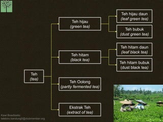 Kawi Boedisetio telebiro.bandung0@clubmember.org 
Teh (tea) 
Teh hijau (green tea) 
Teh hitam (black tea) 
Teh Oolong (partly fermented tea) 
Teh hijau daun 
(leaf green tea) 
Teh bubuk 
(dust green tea) 
Ekstrak Teh (extract of tea) 
Teh hitam daun (leaf black tea) 
Teh hitam bubuk (dust black tea)  