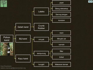 Kawi Boedisetio 
telebiro.bandung0@clubmember.org 
Pohon 
karet 
Getah karet 
Kayu karet 
Lateks 
Crumb 
Rubber 
pipet 
Slang stetoskop 
Sarung tangan 
kondom 
Biji karet 
resin 
Minyak cat 
varnish 
filler 
briket 
Makanan ternak 
minyak 
tempurung 
bungkil 
 