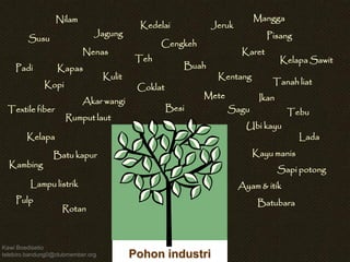 Wieke Kodri 
Kawi Boedisetio 
telebiro.bandung0@clubmember.org Pohon industri 
Rumput laut 
Coklat 
Buah 
Kulit Kentang 
Ikan 
Ubi kayu 
Kelapa 
Teh 
Kopi 
Batu kapur Kayu manis 
Mete 
Karet 
Cengkeh 
Nenas 
Tanah liat 
Textile fiber Tebu 
Kelapa Sawit 
Padi 
Lada 
Jagung 
Jeruk 
Susu Pisang 
Kedelai 
Kambing Sapi potong 
Ayam & itik 
Nilam 
Akar wangi 
Lampu listrik 
Besi 
Pulp Batubara 
Rotan 
Mangga 
Kapas 
Sagu 
 