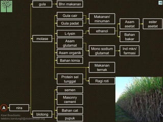Kawi Boedisetio 
telebiro.bandung0@clubmember.org 
nira 
gula 
molase 
blotong 
Bhn makanan 
Gula cair 
Gula padat 
L-lysin 
Asam 
glutamat 
Asam organik 
Bahan kimia 
Makanan 
ternak 
Protein sel 
tunggal 
semen 
Masonry 
cement 
pupuk 
Bahan cat 
Makanan/ 
minuman 
ethanol 
Mono sodium 
glutamat 
Ragi roti 
Asam 
asetat 
Bahan 
bakar 
Ind mkn/ 
farmasi 
ester 
asetat 
A 
 