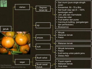 Kawi Boedisetio 
telebiro.bandung0@clubmember.org 
jeruk 
olahan 
segar 
Segmen 
tanpa biji 
biji 
ampas 
kulit 
• Sari murni (pure single strngth 
juice) 
• Konsentrat, 50 - 70 o Brix 
• Sari buah siap saji (5 – 100% 
kandungan sari) 
• Jam, jelly dan marmalade 
• Cuka dan cider 
• Fruit leather dari puree 
• Canning & bottling (pengalengan 
dan pembotolan) 
• Bioessence 
• Minyak 
• Makanan ternak 
• Pektin 
• Makanan ternak 
• Minyak lemonene 
• Pektin 
• Kulit kering untuk pabrik jamu 
• Dietary fiber 
• Pupuk organik 
• Makanan ternak 
• Gula tetes 
Buah sehat 
Buah cacat/ 
busuk 
 