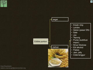 Kawi Boedisetio 
telebiro.bandung0@clubmember.org 
Edible portion 
segar 
olahan 
• Kripik/ chip 
• Lendre 
• Getuk (pasar DN) 
• Sale 
• Jus 
• Tepung 
• Puree (subtitusi 
impor) 
• Sirup Glukosa 
• Etil alkohol 
• Flakes 
• Jam, jelly 
• Cider/anggur 
 