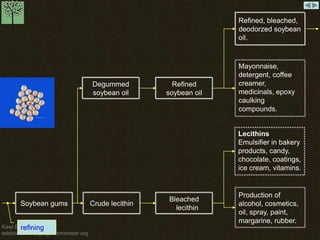 Kawi Boedisetio 
telebiro.bandung0@clubmember.org 
Soybean gums Crude lecithin 
Bleached 
lecithin 
Lecithins 
Emulsifier in bakery 
products, candy, 
chocolate, coatings, 
ice cream, vitamins. 
Production of 
alcohol, cosmetics, 
oil, spray, paint, 
margarine, rubber. 
Degummed 
soybean oil 
Refined 
soybean oil 
Mayonnaise, 
detergent, coffee 
creamer, 
medicinals, epoxy 
caulking 
compounds. 
Refined, bleached, 
deodorzed soybean 
oil. 
refining 
 