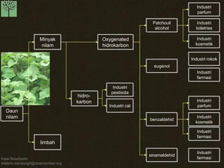 Kawi Boedisetio 
telebiro.bandung0@clubmember.org 
Daun 
nilam 
limbah 
hidro-karbon 
Minyak 
nilam 
Oxygenated 
hidrokarbon 
Patchouli 
alcohol 
Industri 
parfum 
Industri 
toiletries 
Industri 
kosmetik 
Industri rokok 
Industri 
farmasi 
Industri 
parfum 
Industri 
kosmetik 
Industri 
farmasi 
Industri 
farmasi 
eugenol 
benzaldehid 
sinamaldehid 
Industri 
pestisida 
Industri cat 
 