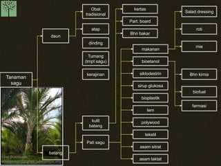 Kawi Boedisetio 
telebiro.bandung0@clubmember.org 
Tanaman 
sagu 
daun 
batang 
Obat 
tradisional 
atap 
kertas 
Salad dressing 
roti 
mie 
Bhn kimia 
biofuel 
Part. board 
Bhn bakar 
makanan 
bioetanol 
kulit 
batang 
dinding 
Tumang 
(tmpt sagu) 
kerajinan 
Pati sagu 
siklodestrin 
sirup glukosa 
bioplastik 
lem 
polywood 
tekstil 
asam sitrat 
asam laktat 
farmasi 
 