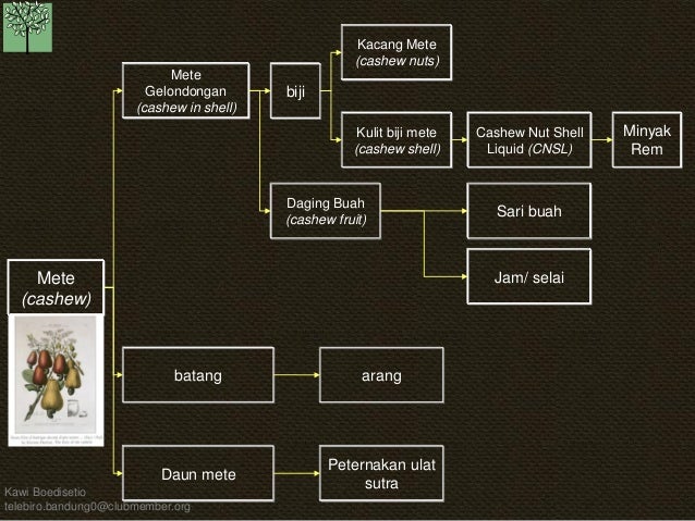 Kb Pohon Industri19