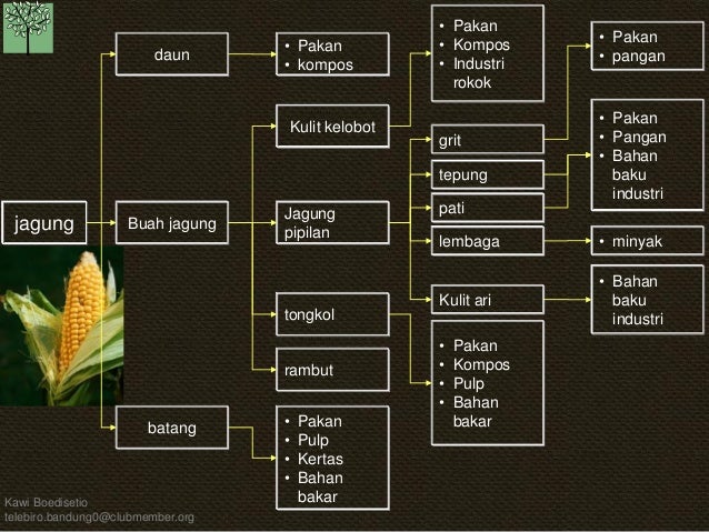 KB pohon industri-19