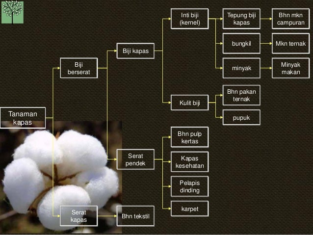 Kb Pohon Industri19