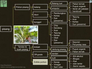 Kawi Boedisetio
telebiro.bandung0@clubmember.org
pisang
Pohon pisang
Tandan &
buah pisang
batang
daun
bonggol
limbah
Off-grade
Edible portion
Batang luar
empulur
• Pakan ternak
• Pupuk organik
• Serat utk pakaian
• handicraft
• Tepung
• Acar
• Kertas
• Dye (pewarna)
• Pembungkus
• Kertas
• Dye
(pewarna)
• Chip
• Dendeng
• Acar
• Tepung
• Kertas
• Obat
• Dye
(pewarna)
Jantung pisang
tandan
kulit
• Kecap
• Vinegar
• Sari/ cider
• Sayuran
• Penyedap rasa
• Pupuk organik
• Pakan ternak
• -Etil alkohol
• -Biogas
• -Dye
• -wax lantai
• -Semir sepatu
 