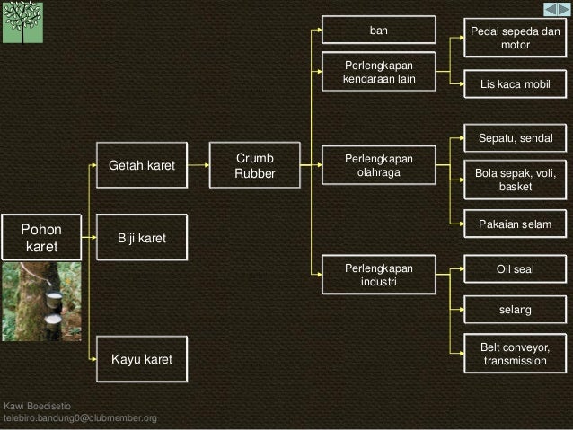 Diagram Pohon Jambu Image collections - How To Guide And 