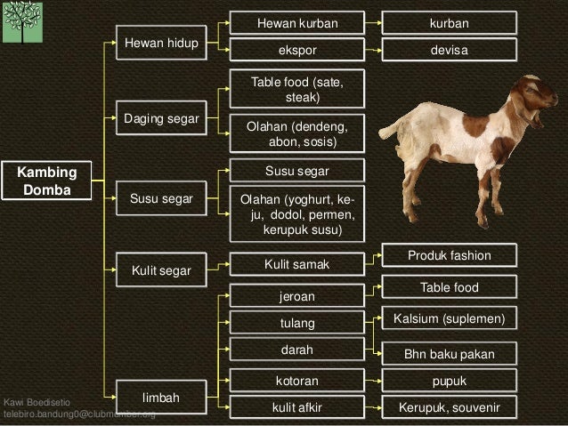 KB Pohon Industri 20