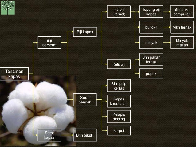 KB Pohon Industri 20