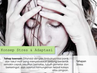 Konsep Stres & Adaptasi
Tahap keenam. Ditandai dengan timbulnya rasa panik
dan takut mati yang menyebabkan jantung berdetak
semakin cepat, kesulitan bernafas, tubuh gemetar dan
berkeringat, dan adanya kemungkinan terjadi kolaps
atau pingsan.

Tahapan
Stress

 