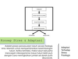 Konsep Stres & Adaptasi
Adalah proses penyesuaian tubuh secara fisiologis
atau alamiah untuk mempertahankan keseimbangan
tubuh. Ketika terinfeksi, maka tubuh berusaha
mencegah mikrorganisme masuk tubuh lebih jauh
dengan cara meningkatkan jumlah sel darah putih
(leucocyt).

Adaptasi
Terhadap
Stress
Fisiologis

 