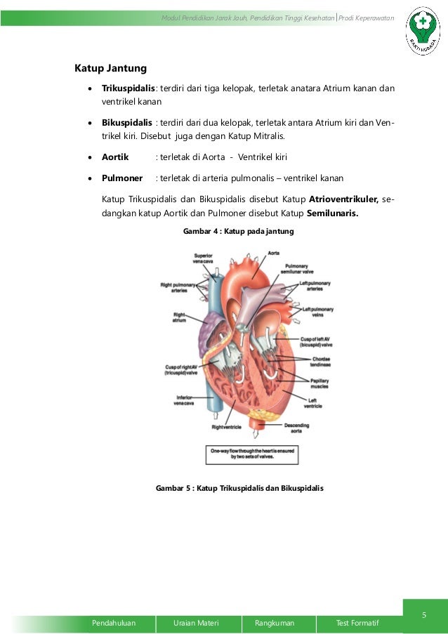 Perubahan Sistem Kardiovaskuler pada Lansia