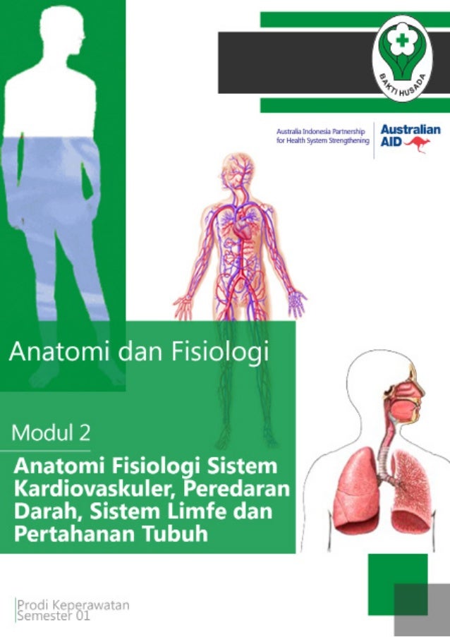 Anatomi Fisiologi Sistem Kardiovaskuler Limfe Peredaran 