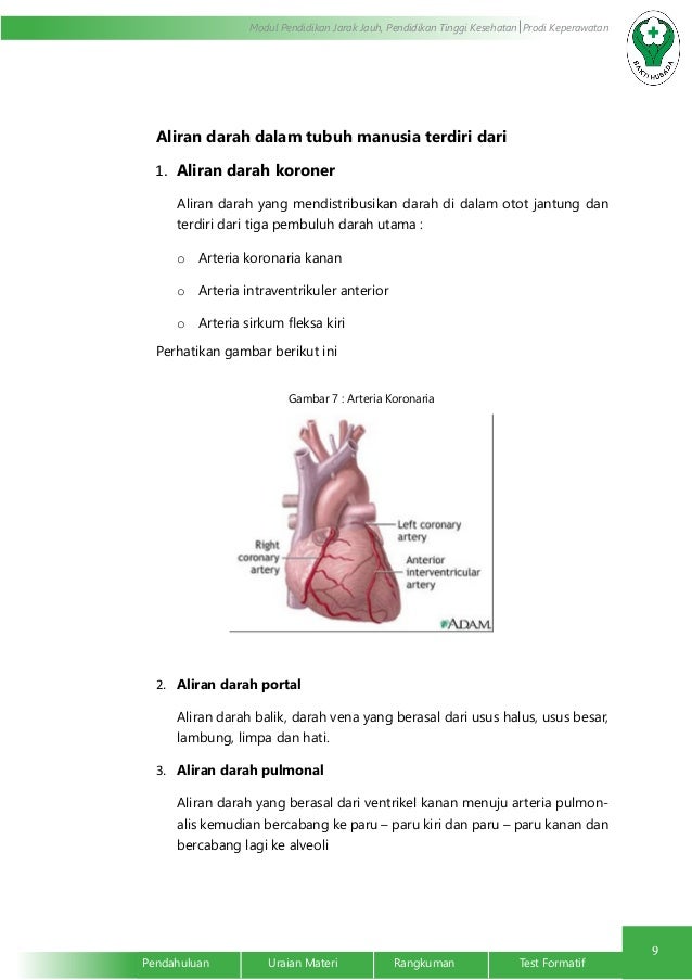 Ppt sistem limfatik dan pertahanan tubuh