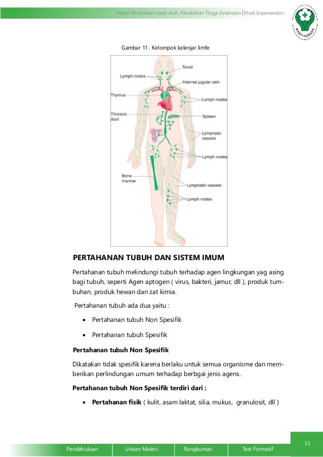Anatomi Fisiologi Sistem Kardiovaskuler, Limfe, Peredaran