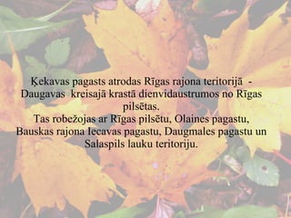 Ķekavas pagasts atrodas Rīgas rajona teritorijā  - Daugavas  kreisajā krastā dienvidaustrumos no Rīgas pilsētas. Tas robežojas ar Rīgas pilsētu, Olaines pagastu, Bauskas rajona Iecavas pagastu, Daugmales pagastu un Salaspils lauku teritoriju. 