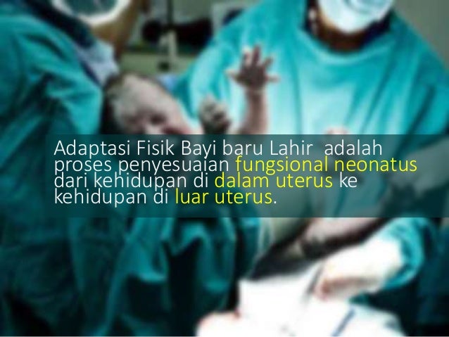 Adaptasi Fisiologi Bayi Baru Lahir Kb1 adaptasi fisik bayi baru lahir
