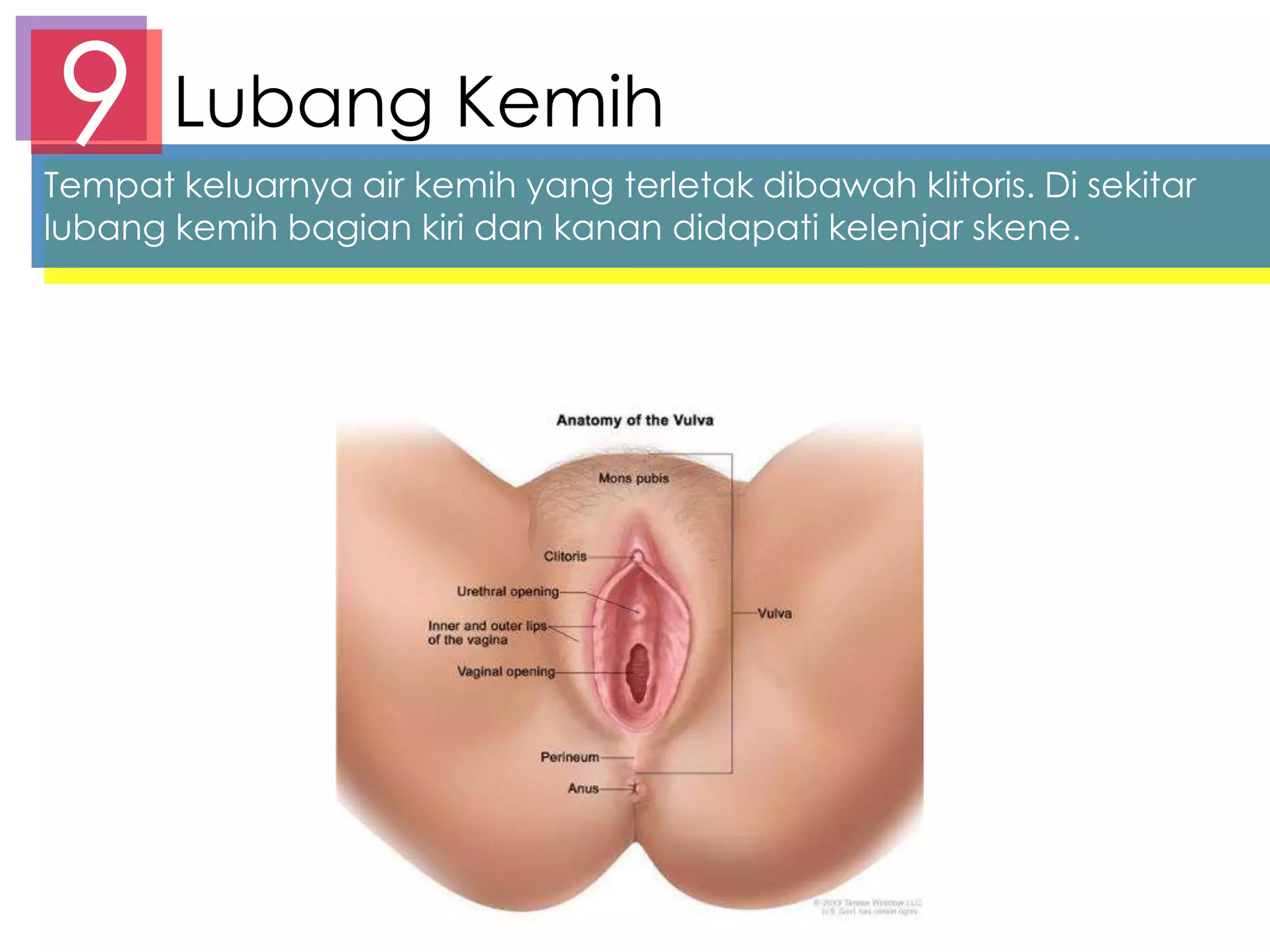 eng yaqin dostining mushukini yalaydi Monika Belluchchi bilan porno tomosha qiling