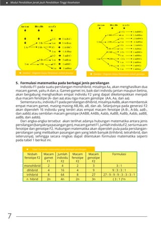 Modul Pendidikan Jarak Jauh Pendidikan Tinggi Kesehatan
7
Gambar : Diagram Garpu Penentuan nisbah fenotipe Gambar : Diagram Garpu Penentuan nisbah genotipe
5.	 Formulasi matematika pada berbagai jenis persilangan
	 Individu F1 pada suatu persilangan monohibrid, misalnya Aa, akan menghasilkan dua
macam gamet, yaitu A dan a. Gamet-gamet ini, baik dari individu jantan maupun betina,
akan bergabung menghasilkan empat individu F2 yang dapat dikelompokkan menjadi
dua macam fenotipe (A- dan aa) atau tiga macam genotipe (AA, Aa, dan aa).
	 Sementaraitu,individuF1padapersilangandihibrid,misalnyaAaBb,akanmembentuk
empat macam gamet, masing-masing AB,Ab, aB, dan ab. Selanjutnya pada generasi F2
akan diperoleh 16 individu yang terdiri atas empat macam fenotipe (A-B-, A-bb, aaB-,
dan aabb) atau sembilan macam genotipe (AABB, AABb, Aabb, AaBB, AaBb, Aabb, aaBB,
aaBb, dan aabb).
	 Dari angka-angka tersebut akan terlihat adanya hubungan matematika antara jenis
persilangan(banyaknyapasangangen),macamgametF1,jumlahindividuF2,sertamacam
fenotipe dan genotipe F2. Hubungan matematika akan diperoleh pula pada persilangan-
persilangan yang melibatkan pasangan gen yang lebih banyak (trihibrid, tetrahibrid, dan
seterusnya), sehingga secara ringkas dapat ditentukan formulasi matematika seperti
pada tabel 1 berikut ini.
Nisbah
fenotipe F2
Macam
gamet
F1
Jumlah
individu
F2
Macam
fenotipe
F2
Macam
genotipe
F2
Formulasi
monohibrid 2 4 2 3 3 : 1
dihibrid 4 16 4 9 9 : 3 : 3 : 1
trihibrid 8 64 8 27 27 : 9 : 9 : 9 : 3 : 3 : 3 : 1
n hibrid 2n 4n 2n 3n ( 3 : 1 )^n
Tabel: Formulasi matematika pada berbagai persilangan
 