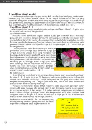 Modul Pendidikan Jarak Jauh Pendidikan Tinggi Kesehatan
9
7.	 Modifikasi Nisbah Mendel
	 Percobaan-percobaan persilangan sering kali memberikan hasil yang seakan-akan
menyimpang dari hukum Mendel. Dalam hal ini tampak bahwa nisbah fenotipe yang
diperoleh mengalami modifikasi dari nisbah yang seharusnya sebagai akibat terjadinya
aksi gen tertentu. Secara garis besar modifikasi nisbah Mendel dapat dibedakan menjadi
dua kelompok, yaitu modifikasi nisbah 3 : 1 dan modifikasi nisbah 9 : 3 : 3 : 1.
1)	Modifikasi Nisbah  3 : 1
	 Ada tiga peristiwa yang menyebabkan terjadinya modifikasi nisbah 3 : 1, yaitu semi
dominansi, kodominansi, dan gen letal.
a)	 Semi dominansi
	 Peristiwa semi dominansi terjadi apabila suatu gen dominan tidak menutupi
pengaruh alel resesifnya dengan sempurna, sehingga pada individu heterozigot akan
muncul sifat antara (intermedier). Dengan demikian, individu heterozigot akan memiliki
fenotipe yang berbeda dengan fenotipe individu homozigot dominan. Akibatnya, pada
generasi F2 tidak didapatkan nisbah fenotipe 3 : 1, tetapi menjadi 1 : 2 : 1 seperti halnya
nisbah genotipe.
	 Contoh peristiwa semi dominansi dapat dilihat pada
pewarisan warna bunga pada tanaman bunga pukul
empat (Mirabilis jalapa). Gen yang mengatur warna
bunga pada tanaman ini adalah M, yang menyebabkan
bunga berwarna merah, dan gen m, yang menyebabkan
bunga berwarna putih. Gen M tidak dominan sempurna
terhadap gen m, sehingga warna bunga pada individu
Mm bukannya merah, melainkan merah muda. Oleh
karena itu, hasil persilangan sesama genotipe Mm
akan menghasilkan generasi F2 dengan nisbah fenotipe
merah : merah muda : putih = 1 : 2 : 1.
Gambar 1.5 : Hasil Persilangan Mirabilis Jalapa
b)	Kodominansi
	 Seperti halnya semi dominansi, peristiwa kodominansi akan menghasilkan nisbah
fenotipe 1 : 2 : 1 pada generasi F2. Bedanya, kodominansi tidak memunculkan sifat
antara pada individu heterozigot, tetapi menghasilkan sifat yang merupakan hasil
ekspresi masing-masing alel. Dengan perkataan lain, kedua alel akan sama-sama
diekspresikan dan tidak saling menutupi.
	 Peristiwa kodominansi dapat dilihat misalnya pada pewarisan golongan darah
sistem ABO pada manusia (alel ganda). Gen IA dan IB masing-masing menyebabkan
terbentuknya antigen A dan antigen B di dalam eritrosit individu yang memilikinya.
Pada individu dengan golongan darah AB (bergenotipe IAIB) akan terdapat baik
antigen A maupun antigen B di dalam eritrositnya. Artinya, gen IA dan IB sama-sama
diekspresikan pada individu heterozigot tersebut.
Perkawinan antara laki-laki dan perempuan yang
masing-masing memiliki golongan darah AB dapat
digambarkan seperti pada diagram berikut ini:
Gambar 1.6 : Diagram persilangan sesama
individu bergolongan darah AB
 