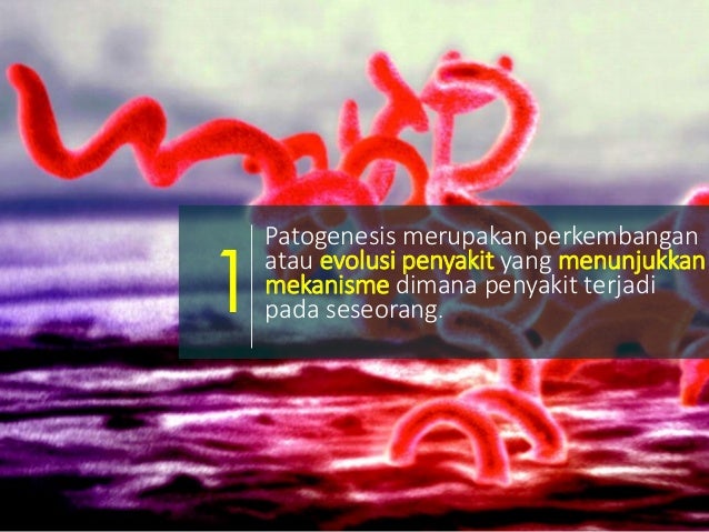 Patogenesis dan patofisiologi kelainan struktur dan fungsi