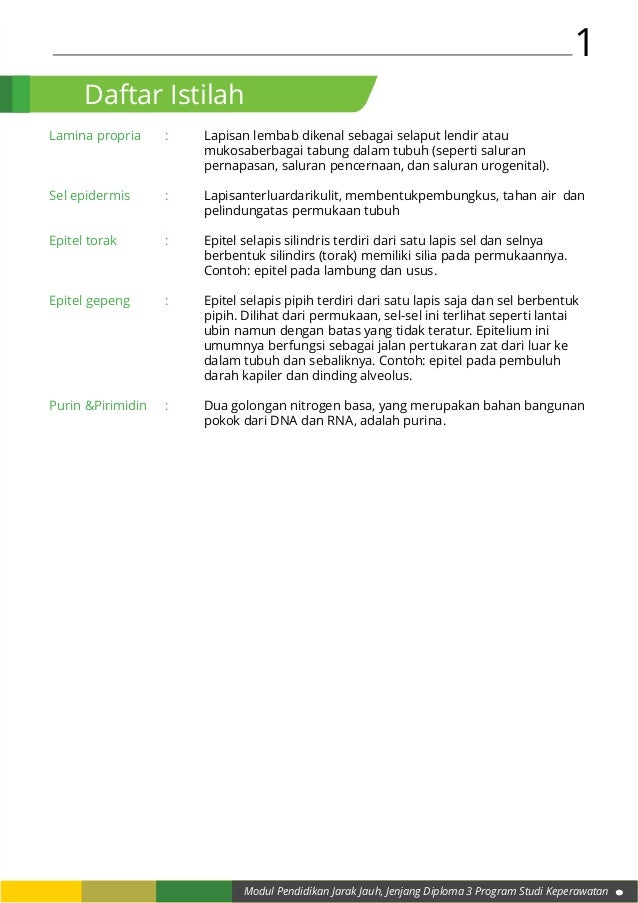 Patogenesis dan patofisiologi kelainan struktur dan fungsi Patogenesis dan patofisiologi kelainan struktur dan fungsi
