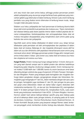 13
Modul Pendidikan Jarak Jauh, Pendidikan Tinggi Kesehatan Prodi Keperawatan
Pendahuluan		Uraian Materi		Rangkuman		Test Formatif
anin atau tirosin dan asam amino kedua, sehingga produk pencernaan protein
adalah polipeptida yang ukurannya sangat berfariasi.Suatu gelatinase yang men-
cairkan gelatin juga ditemukan di dalam lambung. Kimosin suatu enzim lambung
pembeku susu yang disebut rennin ditemukan di lambung hewan muda,  tetapi
mungkin tidak ada pada manusia.
Didalam usus halus, polipeptida dari hasil pencernaan di lambung dicerna lebih
lanjut oleh enzim proteolitik kuat pankreas dan mukosa usus.  Tripsin, kemotripsin
dan elastase bekerja pada ikatan peptida interior dalam molekul peptida dan di-
namai endopeptidase. Karboksipeptidase dan aminopeptodase batas sikat sel
mukosa merupakan eksopeptidase yang menghirolisis asam amino pada ujung
karboksi dan amino dari polipeptida.
Sejumllah asam amino bebas dibebaskan di dalam lumen usus, tetapi lainnya
dibebaskan pada pemukaan sel oleh aminopeptodase dan peptidase di dalam
batas sikat sel mukosa. Beberapa di- dan tripeptida ditransport secara aktif ke
dalam sel usus dan dihidrolisis oleh peptidase intersel bersama asam amino yang
memasuki aliran darah. Sehingga pencernaan protein hingga akhir menjadi asam
amino timbul dalam 3 lokasi  yaitu lumen usus, batas sikat sel mukosa usus halus
dan sitoplasma sel mukosa usus halus.
Fungsi Protein, Protein mempunyai fungsi sebagai berikut :1) Enzim, Semua en-
zim yang teah diamati sampai saat ini adalah protein dan aktivitas katalitiknya
bergantung pada integritas strukturnya sebagai protein. Enzim mempunyai be-
rat molekul 12.000-lebih dari 1.000.000, karena itu enzim berukuran amat besar
dibanding dengan substrat atau gugus fungsional. 2) Protein Transpor: Hemoglo-
bin dan Mioglobin. Protein yang terdapat pada hemoglobin dan mioglobin ber-
fungsi dalam pengikatan oksigen, pengangkutan oksigen dan fotosintesis. He-
moglobin juga mengangkut H+
dan CO2
. Selain membawa oksigen dari paru-paru
ke jaringan, hemoglobin juga membawa H+
dan CO2
dari jaringan ke paru-paru
dan ginjal untuk dieksresikan. Dalam sel, bahan bakar organic dioksidasi oleh
mitokondria membentuk  CO2
, air dan zat- lain. Pembentukan CO2
meningkatkan
kadar H+
di dalam jaringan karena hidrasi CO2
menghasilkan H2
CO3
, suatu asam
lemah yang terdisosiasi membentuk H+
dan HCO3-
. 3) Protein Pengatur: Hormon,
Hormon adalah hasil sekresi kelenjar-kelenjar spesifik yang akan bekerja pada
sel-sel di dekatnya dalam suatu jaringan tertentu, di samping pada sel di mana
dia disintesis. Contohnya : Hormon Pertumbuhan, Insulin, Paratiroid Hormon . 4)
Protein Kontraktil. Banyak protein yang berperan sebagai filamen, kabel, lemba-
ran penyanggah untuk memberikan struktur biologi atau kekuatan. Massa serat
 