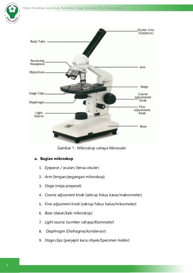 Pengenalan Penggunaan Dan Perawatan Mikroskop 