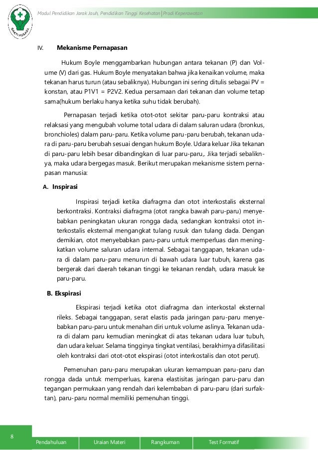 Anatomi Fisiologi Sistem Pernafasan (Respirasi)