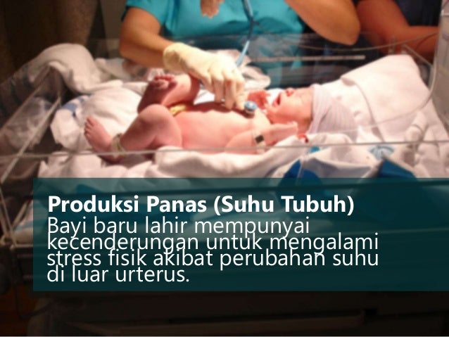 Adaptasi Fisiologi Bayi Baru Lahir Kb2 adaptasi fisik bayi baru lahir