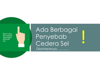 Ada Berbagai
Penyebab
Cedera Sel !Bahan atau
Apa sajakah
Yang dapat
Merusak
Sel…
Diantaranya………..
 