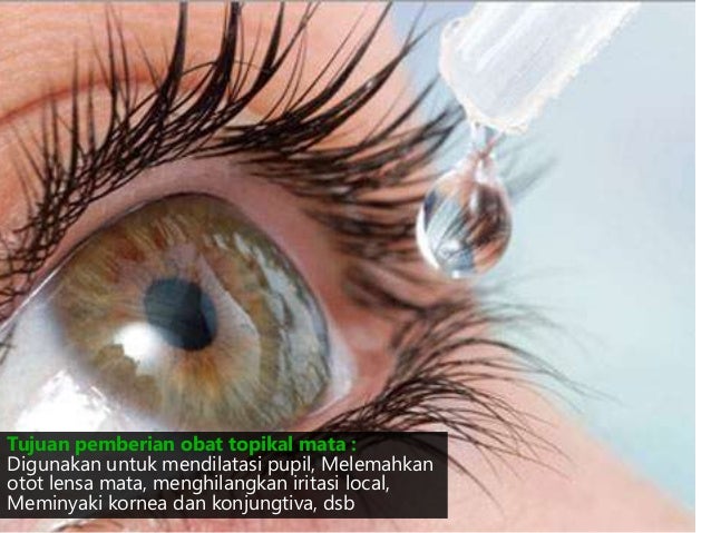 Ubat Gatal Hidung - Fijat Flus