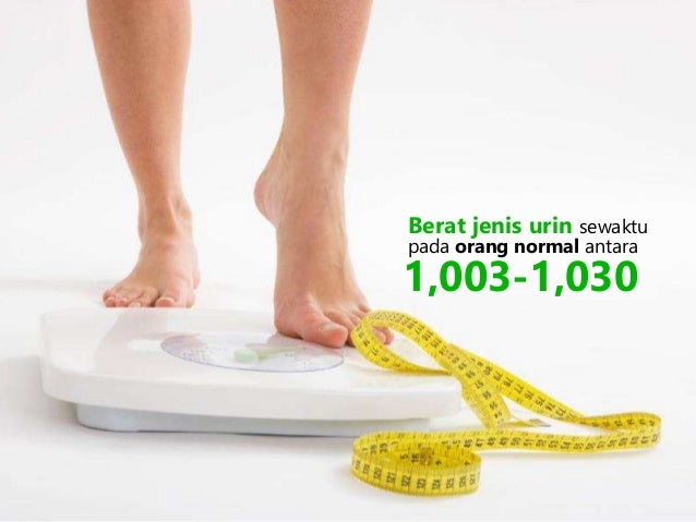 Kb 2 pemeriksaan urine
