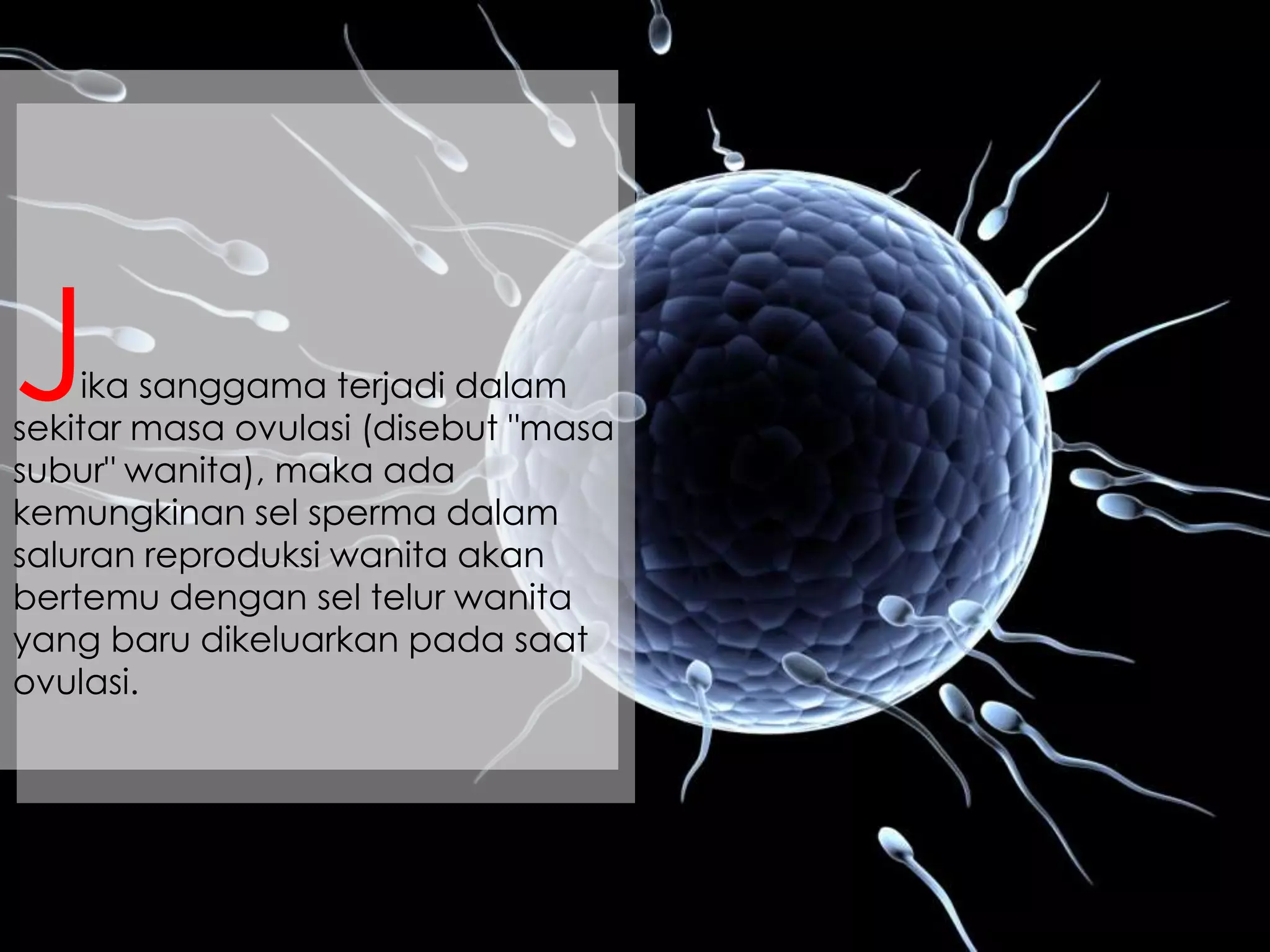 ika sanggama terjadi dalam
sekitar masa ovulasi (disebut "masa
subur" wanita), maka ada
kemungkinan sel sperma dalam
saluran reproduksi wanita akan
bertemu dengan sel telur wanita
yang baru dikeluarkan pada saat
ovulasi.
J
 